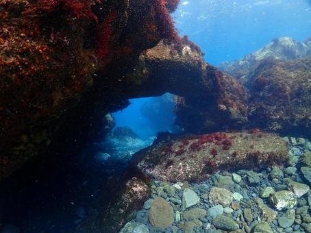 伊豆大島のアーチ 伊豆大島のアーチ アーチ,地形,伊豆大島の写真素材
