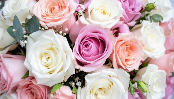 薔薇の花のナチュラル背景 薔薇の花のナチュラル背景の写真