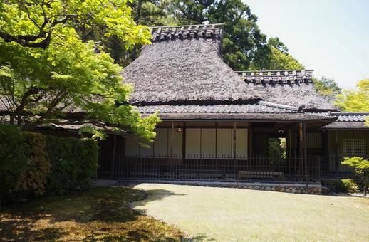 Photo, nara park, jicheng garden, fresh green, 