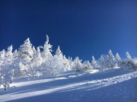 雪景色 雪景色の写真