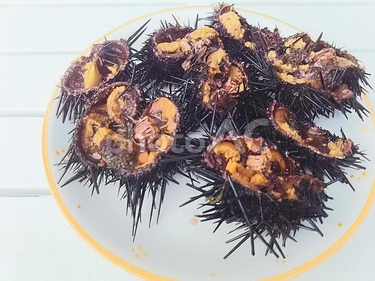 半分に割ったウニ　うに　 ウニ,うに,何人もありませんの写真素材