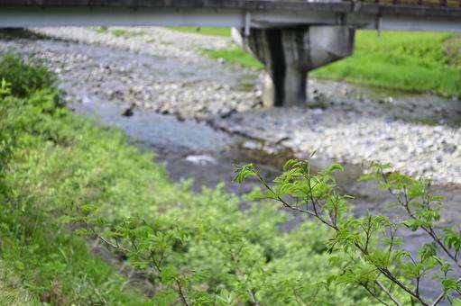Photo, gifu prefecture, pascal kiyomi, road station, 