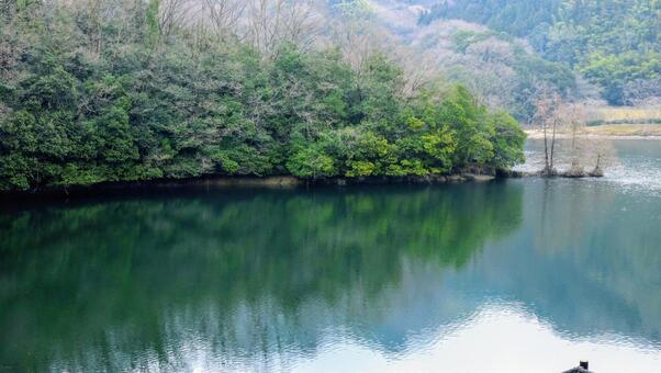 湖畔 湖畔の写真