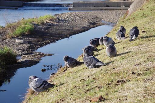 冷え込んだ朝 冷え込んだ朝の写真