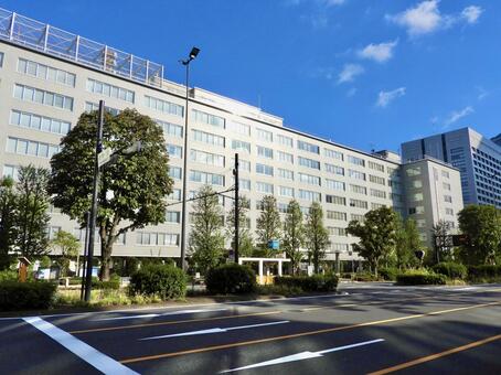 夕方の農林水産省本省 農林水産省,水産庁,林野庁の写真素材