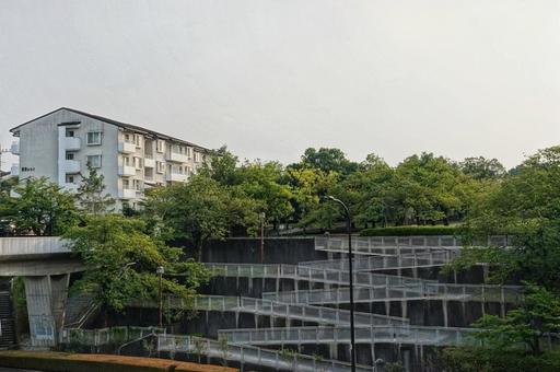 散歩の途中で9 散歩の途中で9の写真