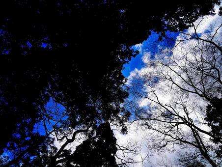 空 空の写真