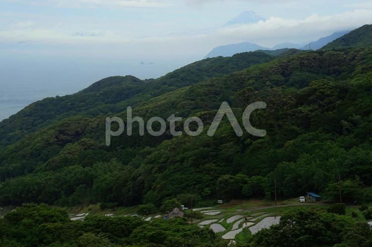 伊豆　石部の棚田と富士山 伊豆,西伊豆,松崎町の写真素材