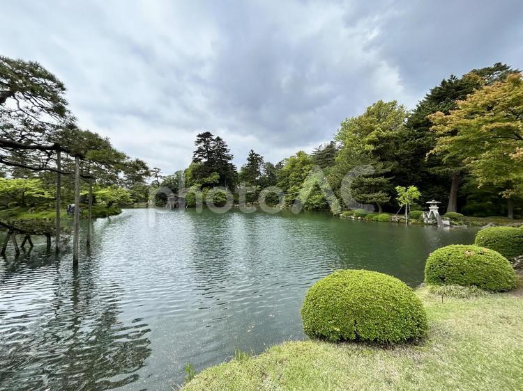日本三名園・金沢の兼六園 兼六園,金沢,石川の写真素材