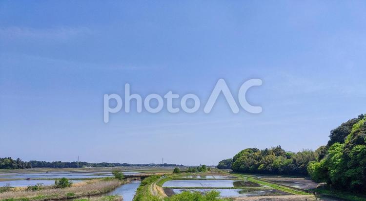 東水戸道路から見るひたちなか市の田園風景 水田,田圃,田んぼの写真素材