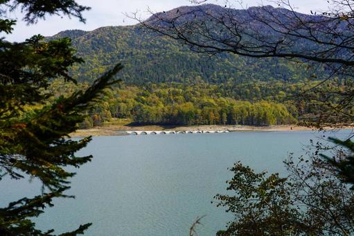 橋 山奥,川,自然の写真素材