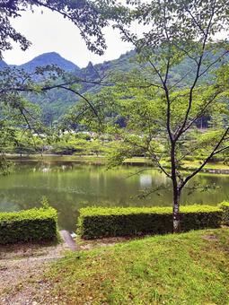 下北山公園 夏の公園 下北山公園 夏の公園の写真