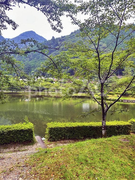 下北山公園　夏の公園 奈良県下北山村,アウトドア,温泉の写真素材