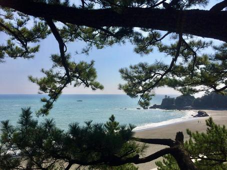 桂浜の海 桂浜の海 海,桂浜,波の写真素材