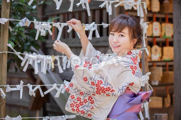 おみくじを結ぶ浴衣姿の女性 おみくじ,神社,運勢の写真素材