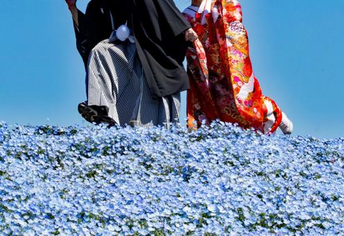 婚禮情侶nemophila, JPG 婚禮情侶nemophila, JPG