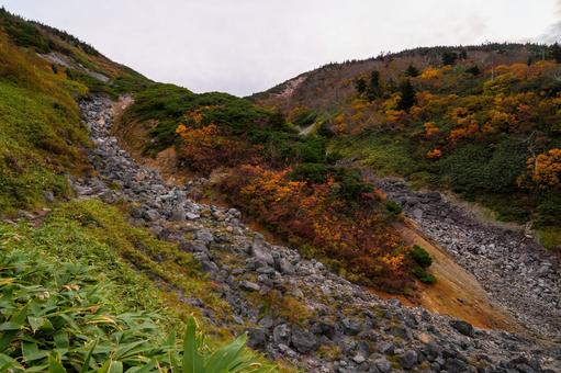 八甲田山 荒々しい谷と紅葉 秋,紅葉,黄葉の写真素材