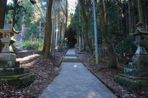 熊本県高森町 上色見熊野座神社 参道 熊本県高森町 上色見熊野座神社 参道の写真