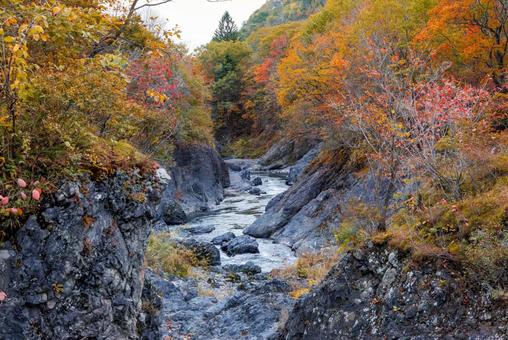 秋の滝上町の風景 秋の滝上町の風景の写真