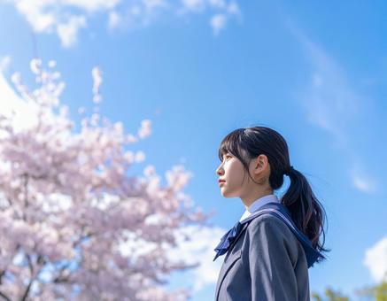 女子高校生 横顔 8 女子高校生 横顔 8の写真
