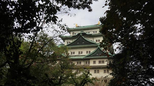 名古屋城　天守　大天守 名古屋城,尾張徳川家,御三家の写真素材