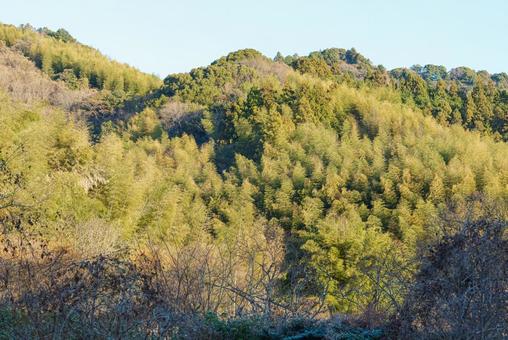 木々に覆われた美しい山並み 山,山並み,木々の写真素材