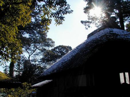 京都 京都の写真