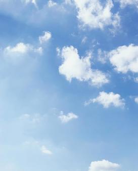 晴れの日の写真