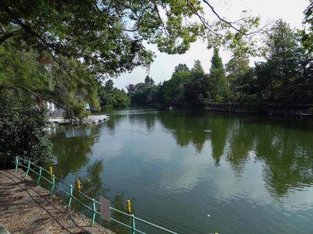 Pond in Musashinoseki Park, JPG Pond in Musashinoseki Park, JPG