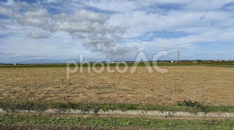 稲刈り後の田んぼ 秋,田んぼ,稲刈りの写真素材