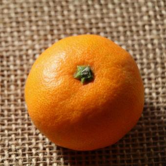 看起來很好吃的橘子方塊 看起來很好吃的橘子方塊
