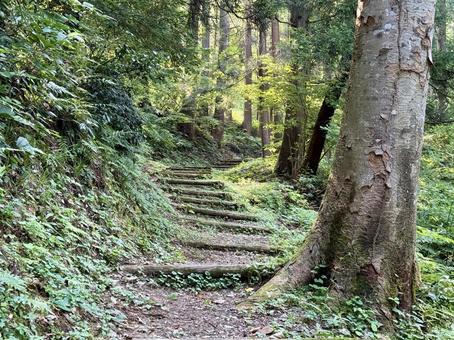 Photo, kenshin uesugi, kasugayama, kasugayama castle, 
