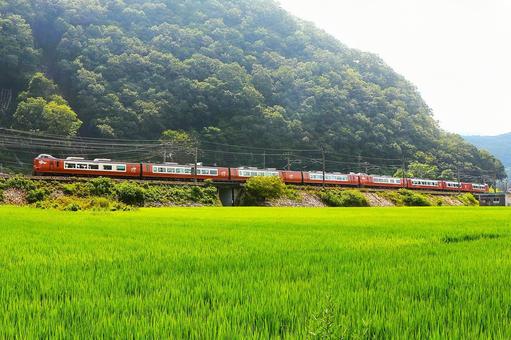 特急やくも 伯備線を行く 特急やくも 伯備線を行くの写真