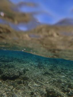 サンゴ礁 サンゴ礁 魚,海,風景の写真素材