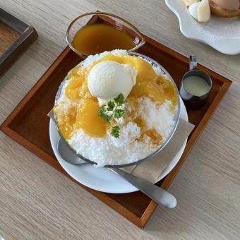 マンゴーミルクのかき氷、バニラアイス付 マンゴーミルクのかき氷、バニラアイス付 かき氷,マンゴー,デザートの写真素材