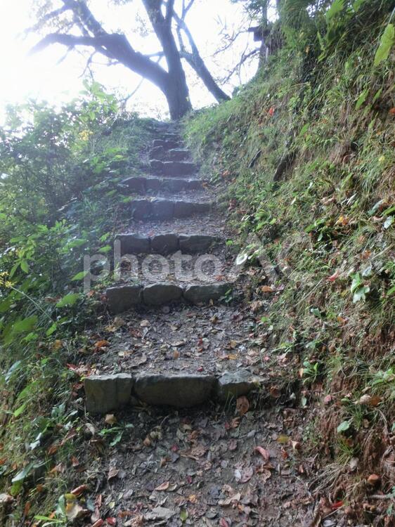 米子城への散歩道（米子城址・湊山公園） ウォーキングコース,ハイキング,久米城の写真素材