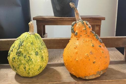 かぼちゃの写真