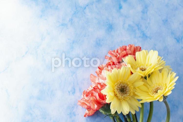 黄色とオレンジ色の2種花束素材 花,黄色,ガーベラの写真素材