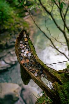 付知峡の不動滝 不動滝,お賽銭,小銭の写真素材