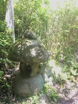 森に佇む石灯籠 石,灯籠,灯篭の写真素材