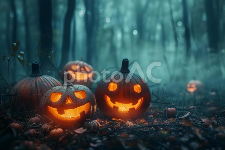 森の中のジャックオーランタンたち ハロウィン,ジャックオーランタン,カボチャの写真素材