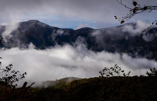 三ツ石山 木々の間から烏帽子岳の稜線 三ツ石山 木々の間から烏帽子岳の稜線 岩手県,三ツ石山,烏帽子岳の写真素材