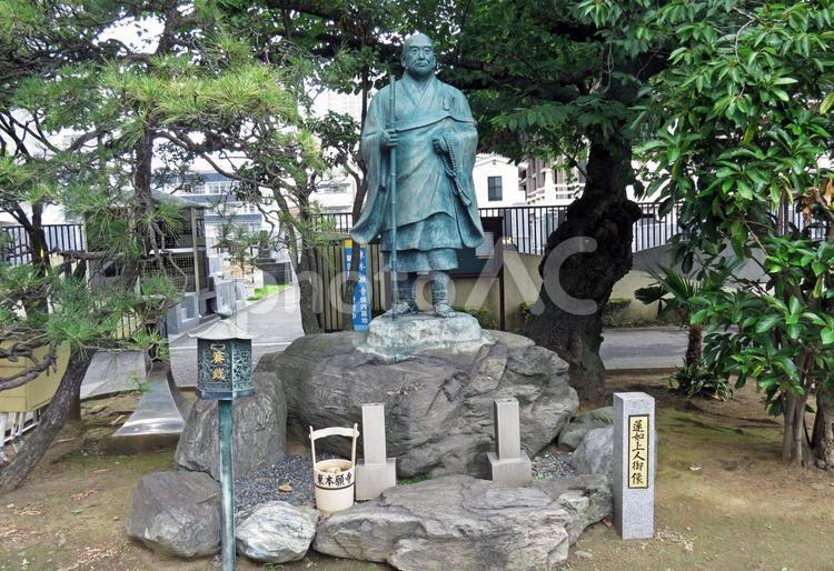 西浅草　東本願寺　蓮如上人御像 西浅草,東本願寺,蓮如上人御像の写真素材