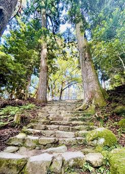 熊野古道 熊野古道 熊野古道,階段,石段の写真素材