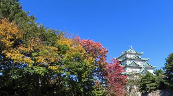 名古屋城　天守　大天守 名古屋城,尾張徳川家,御三家の写真素材
