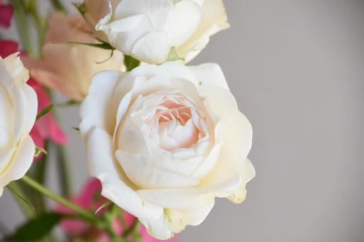 スプレーばらの写真