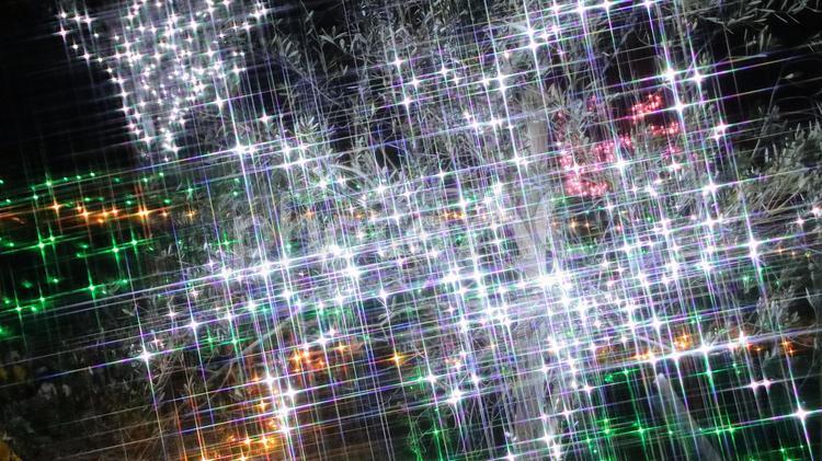 冬のイルミネーション　2024　82 クリスマス,冬,イルミネーションの写真素材