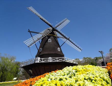 四月のアンデルセン公園-80 四月のアンデルセン公園-80 四月,ふなばしアンデルセン公園,千葉県船橋市の写真素材