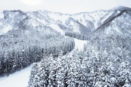 山の雪景色 雪景色,銀世界,ノルディックスキーの写真素材