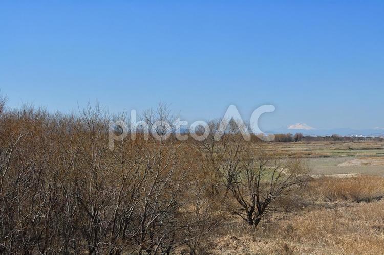 冬の荒川河川敷 荒川,河川敷,田畑の写真素材